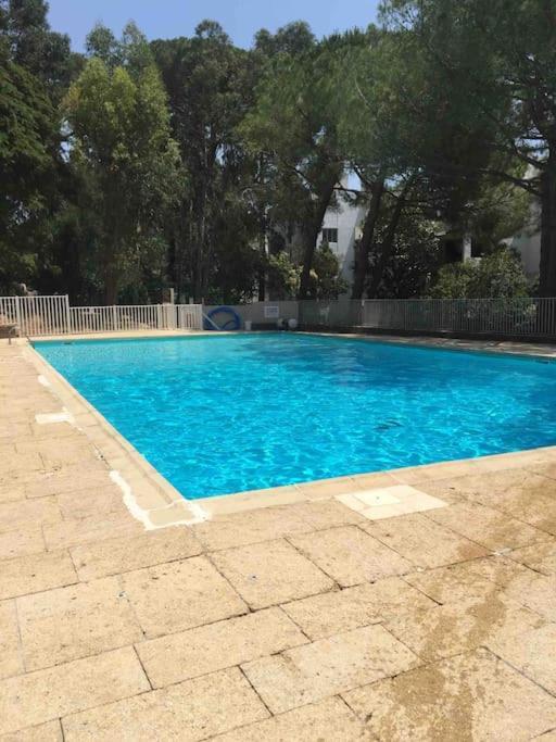 דירות לה סיין סור-מר Le Dyonisos Et Piscine מראה חיצוני תמונה